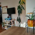 Cozy central apartment