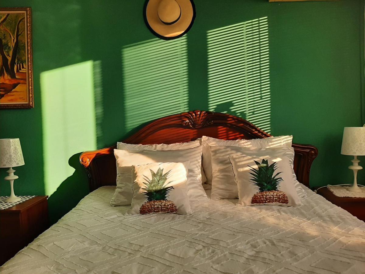 Apartament Cozy Szkodra